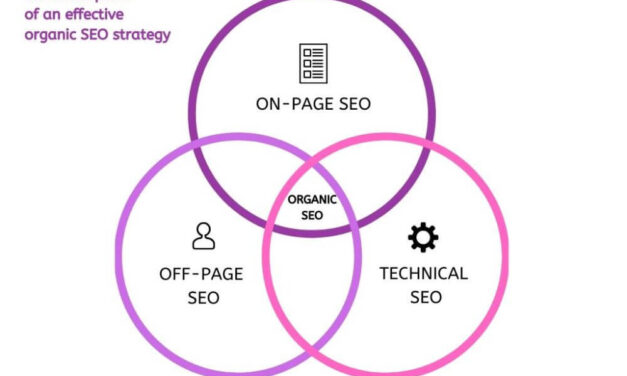 On-Page Optimization, Technical SEO & Off-Page Analysis: A Holistic Approach to SEO